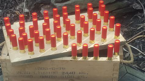 Exotic 12g Heavy Dragons Breath Shotgun Ammunition