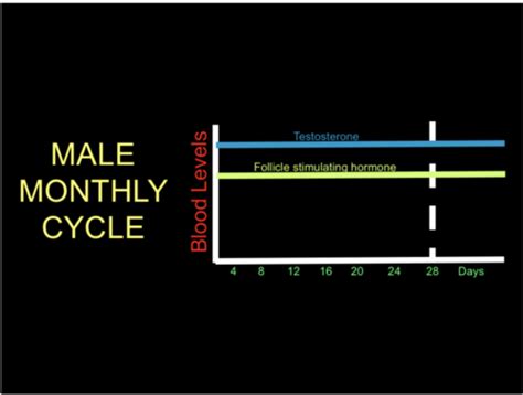 Periodontics And Women Matt Flashcards Quizlet