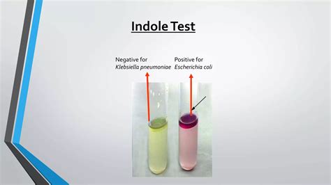 Biochemical Reaction Ppt