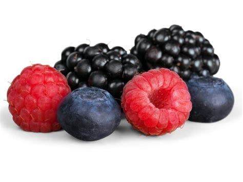 Types of Berries - Healthy and Popular Choices - Northern Nester