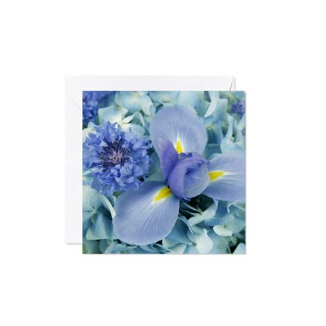 Blue Flower Greeting Card Lifebloomsca