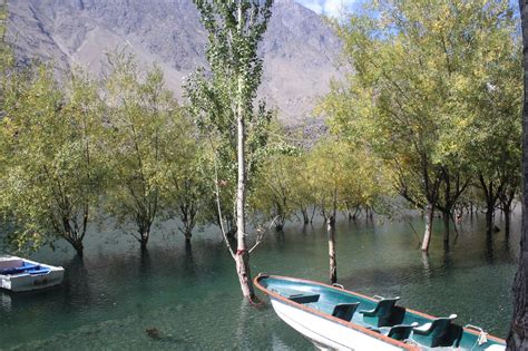 Kachura Lake Adventure Trees - Free photo on Pixabay - Pixabay