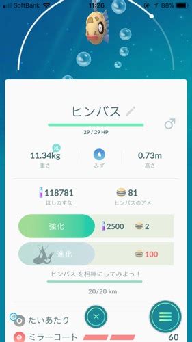 ポケモンgo！ヒンバスを相棒にしてみよう！20kmの意味は？ ｜ 人生を楽しく過ごすための情報サイト