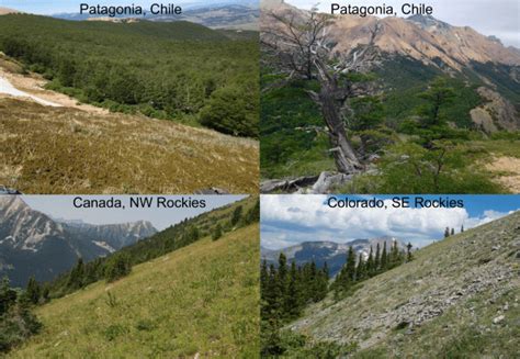 El impacto del cambio climático en los ecosistemas polares y de montaña