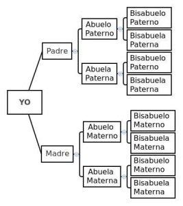 Nacionalidad Italiana Por Descendencia Tramitesitalia