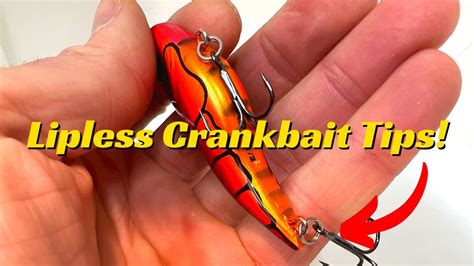 Double Your Bites On A Lipless Crankbait By Fishing Them In These