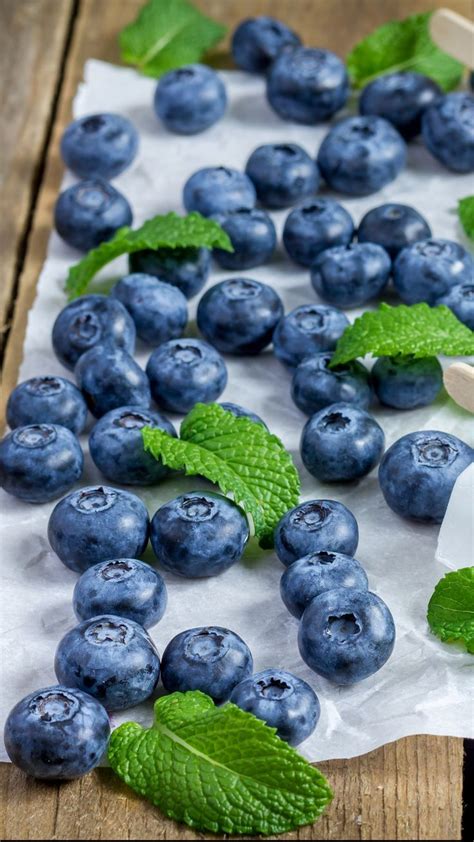 Pin di Zaira V Sosa su Food Engineering ‍ | Frutta, Mirtilli, Giardino