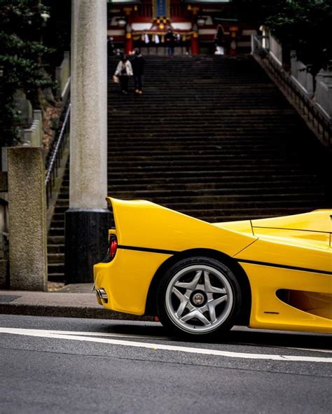F50 💛