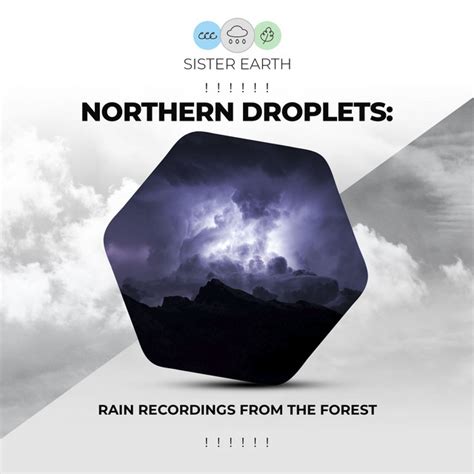 Northern Droplets Rain Recordings From The Forest Album