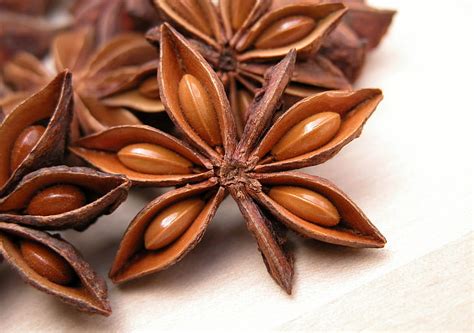 HD Wallpaper Fruit Stars Star Anise Spice Wallpaper Flare