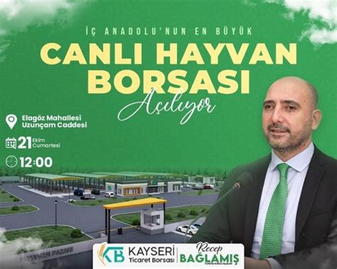 Anadolunun En B Y K Canl Hayvan Borsas Kayseride A L Yor Rapor