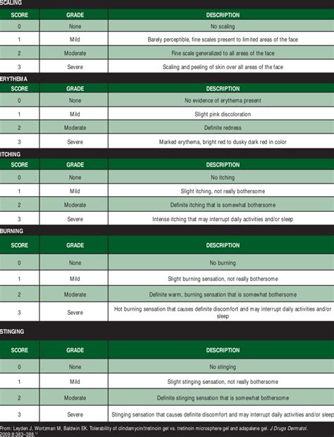 Safety Assessment Scale Download Table