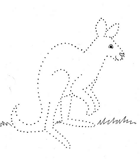 Kangaroo Dot Drawing - Samantha Bell