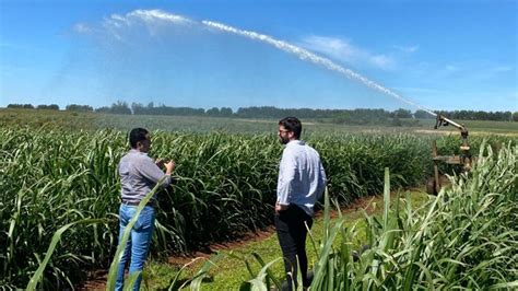 Usan Agua De Lluvia Para Riego Automatizado Y Aumentar Rindes En