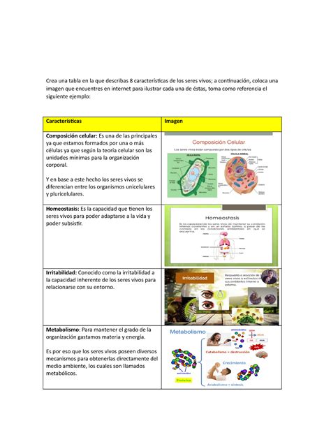 Teor A De La Evoluci N Seg N Darwin Crea Una Tabla En La Que