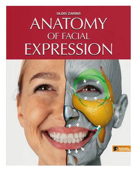 Anatomy For Sculptors Anatomy Book Series For Artists In 2024