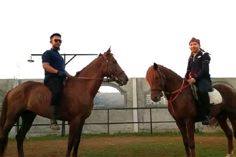 Muyassyar Stable Depok Wisata Berkuda Dan Memanah Ekonomis Bogor Times