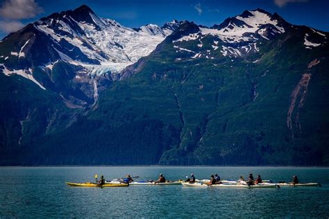 Inside Passage Sea Kayaking From Skagway 2024