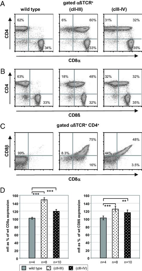 CD8 Coreceptor Expression In Mature T Cells From CD8 LCR Knock In Mice