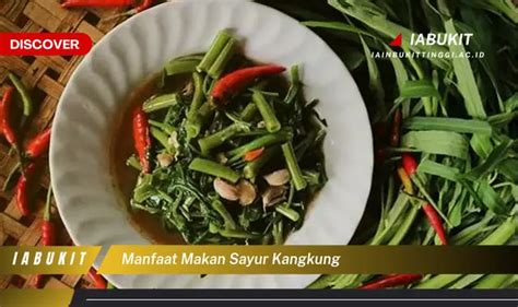 Temukan Manfaat Makan Sayur Kangkung Yang Wajib Kamu Ketahui Discover