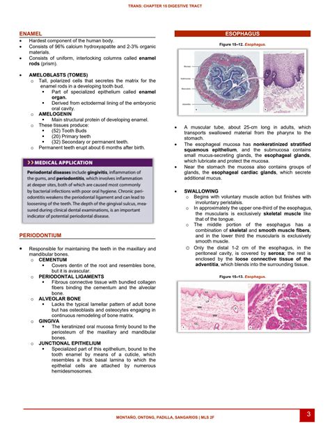 Solution Digestive Tract Histology Studypool