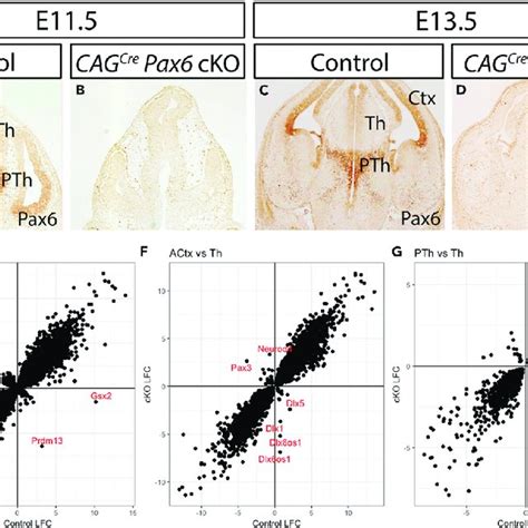 Effects Of Pax6 Deletion On Transcriptomic Differences Between