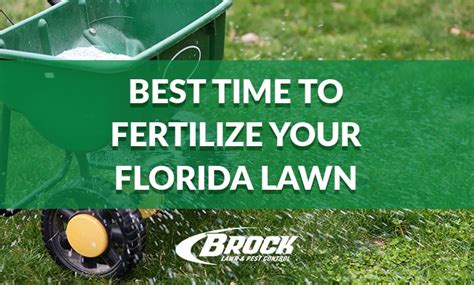 Best Time To Fertilize Your Florida Lawn Brock Pest Control