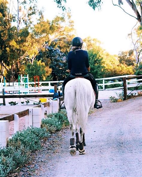 Bare Equestrian Official On Instagram We Love This Shot Of