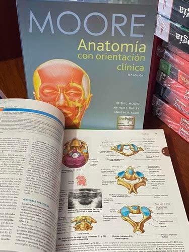 Anatomia De Moore Va Edici N En Venta En Loja Loja Por S Lo U S