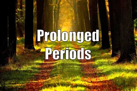 Prolonged Periods Causes Signs Treatment Options