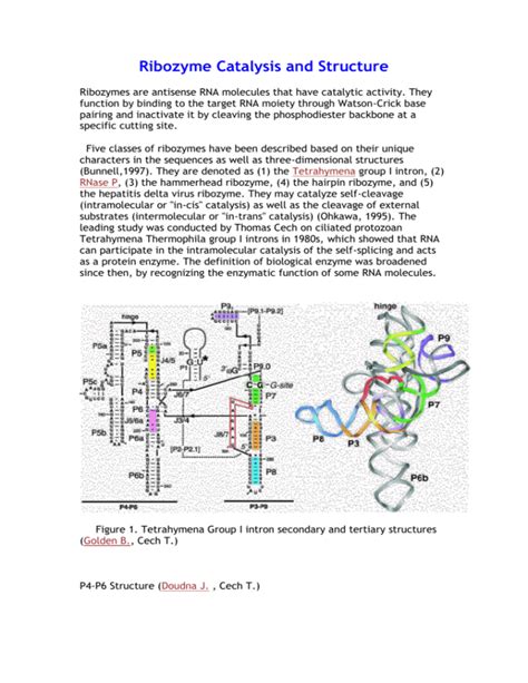 Ribozyme Catalysis And Structure