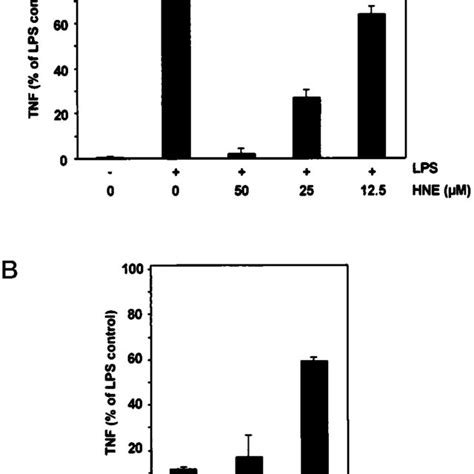 TNF Protein Production Is Suppressed By HNE THP 1 Cells A Or Human