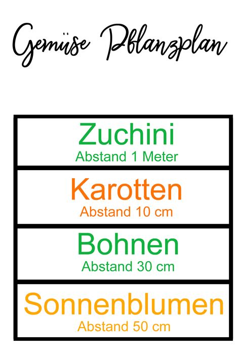 Gemüsegarten Anbauplan So gelingt dir Gemüse anbauen Haus und Beet