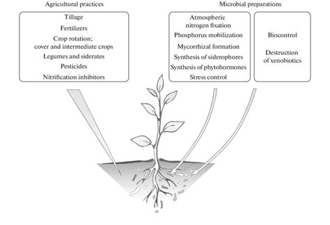 The Main Methods Of Managing Soil Microbial Communities Using