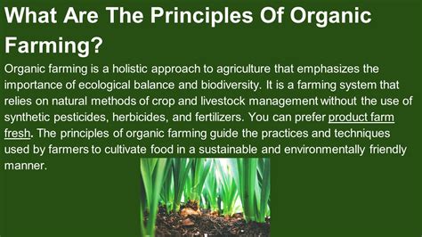 Ppt What Are The Principles Of Organic Farming Powerpoint