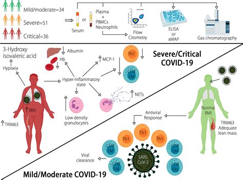 Frontiers Redefining Covid 19 Severity And Prognosis The Role Of