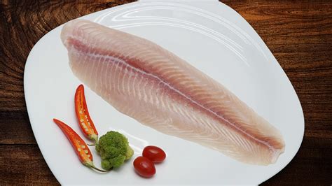 Pangasius