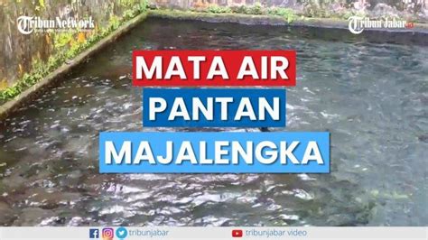 VIDEO Wisata Majalengka Menelusuri Mata Air Pantan Peninggalan Belanda