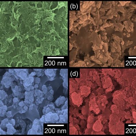 FE SEM Images Of The SBF Immersed Biocomposites For The In Vitro