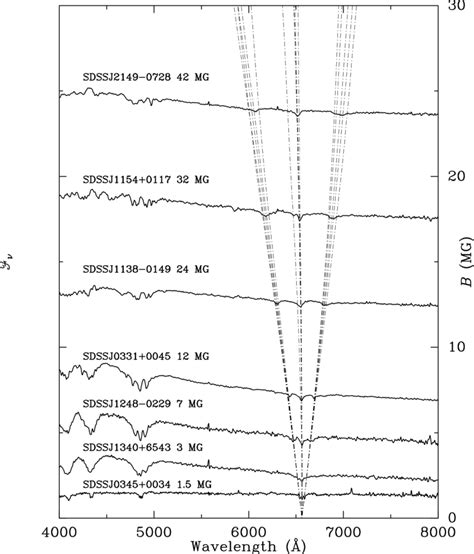 Sample Of The DR1 Magnetic DA White Dwarfs Showing Polar Fields From