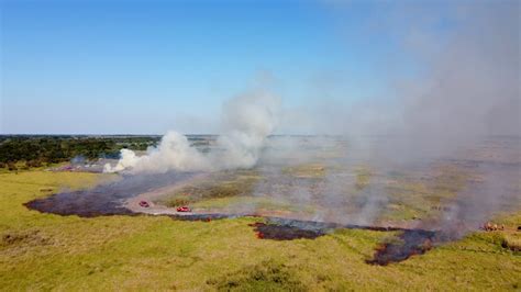 Em alerta para incêndios florestais biomas de MS são monitorados para