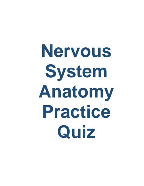 Solution Nervous System Anatomy Practice Quiz Studypool