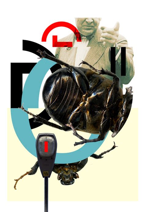 Montage Iowa Insect Series David Versluis Artist