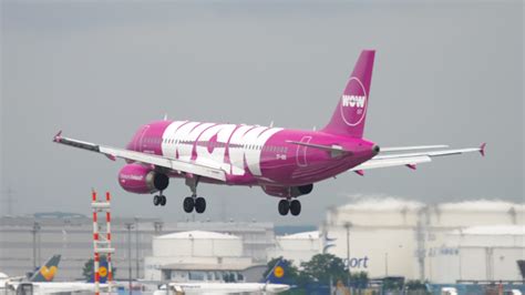 WOW Air Airbus 320 airliner landing 8207524 Stock Video at Vecteezy