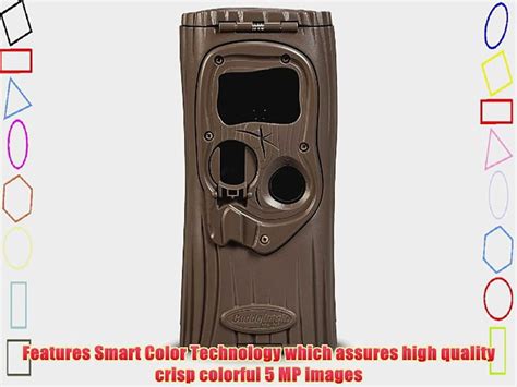 Cuddeback Ambush Flash Game Camera Black Video Dailymotion