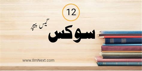 2nd Year Civics Guess Paper 2024 Punjab Boards Ilmnext