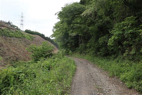 旧美和村（鷲子山南側）の林道 のら松の旅日記（ブログ版）