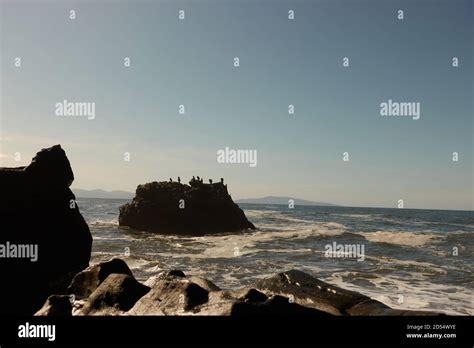 A West Coast Beach Stock Photo Alamy