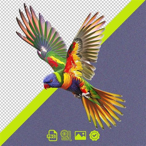 Lorikeet Flight Images Free Download On Freepik