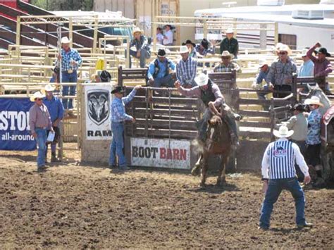 Pro Rodeo Saddle Bronc Riding Photos